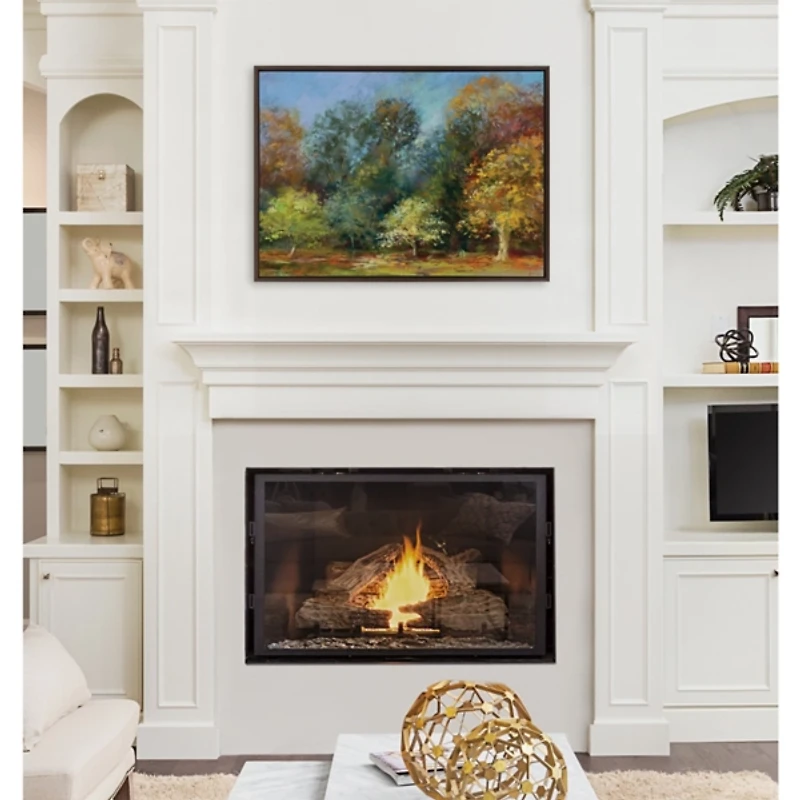 Autumn Forest Day Framed Canvas Art Print