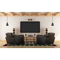 Indiana University Homefield Area Rug, 6x8