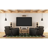 South Carolina Homefield Area Rug, 6x8