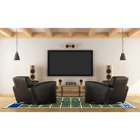 Indianapolis Colts Home Field Area Rug, 6x8