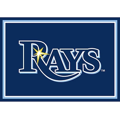 Tampa Bay Devil Rays Spirit Rug, 3x4