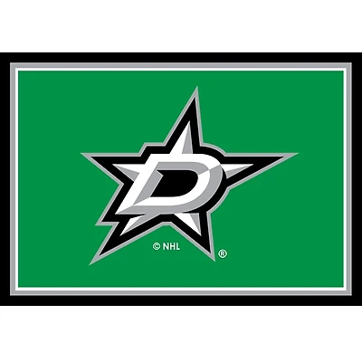 Dallas Stars Area Rug, 3x4