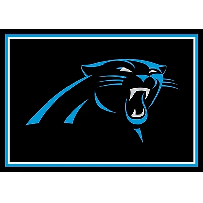 Carolina Panthers Area Rug, 3x4