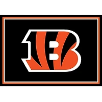 Cincinnati Bengals Area Rug, 3x4