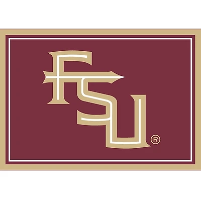 Florida State University Area Rug, 3x4