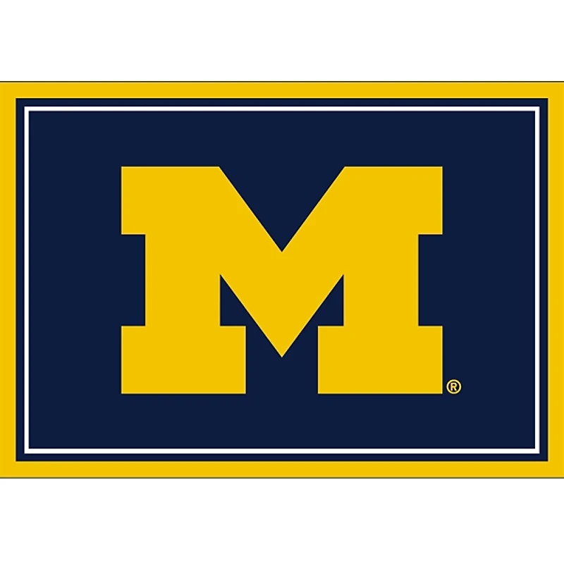 University of Michigan Area Rug, 3x4