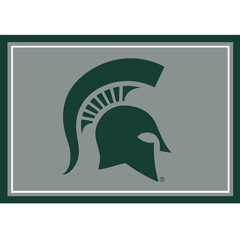 Michigan State University Area Rug, 3x4