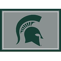 Michigan State University Area Rug, 3x4
