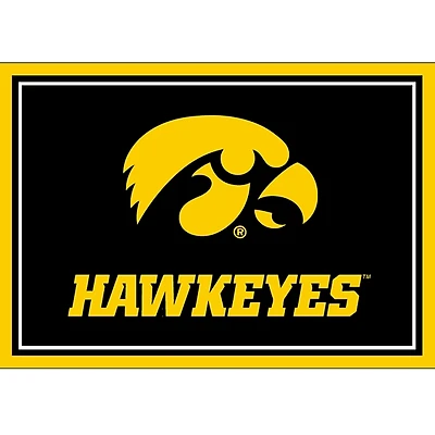 University of Iowa Area Rug, 3x4