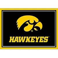 University of Iowa Area Rug, 3x4