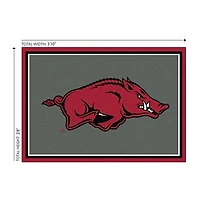 University of Arkansas Area Rug, 3x4