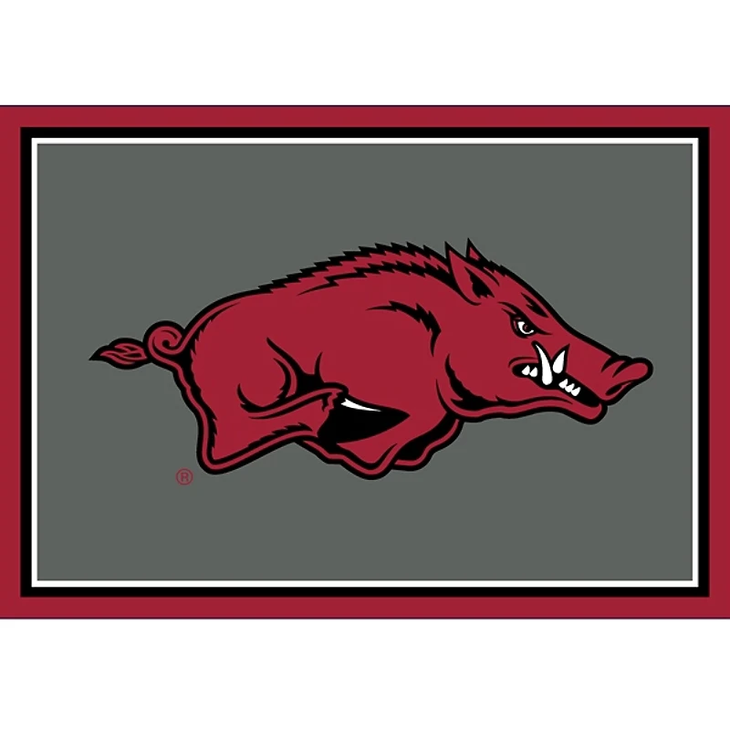 University of Arkansas Area Rug, 3x4