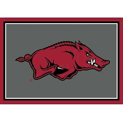 University of Arkansas Area Rug, 3x4