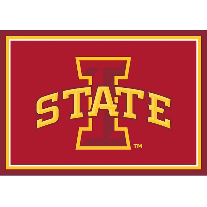 Iowa State University Area Rug, 3x4