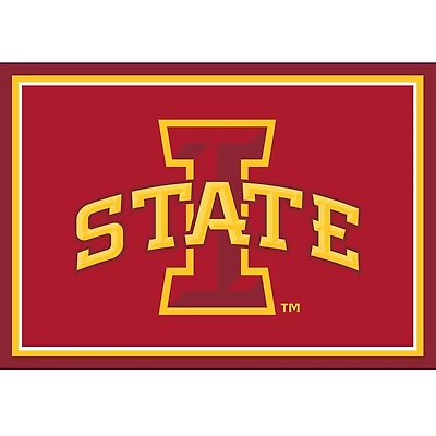 Iowa State University Area Rug, 3x4