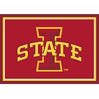 Iowa State University Area Rug, 3x4