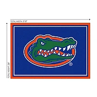 University of Florida Area Rug, 3x4
