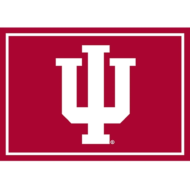 Indiana University Area Rug, 3x4