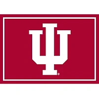 Indiana University Area Rug, 3x4