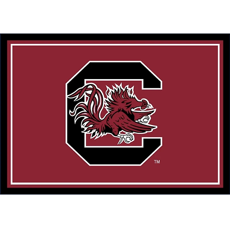 University of South Carolina Area Rug, 3x4