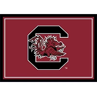 University of South Carolina Area Rug, 3x4
