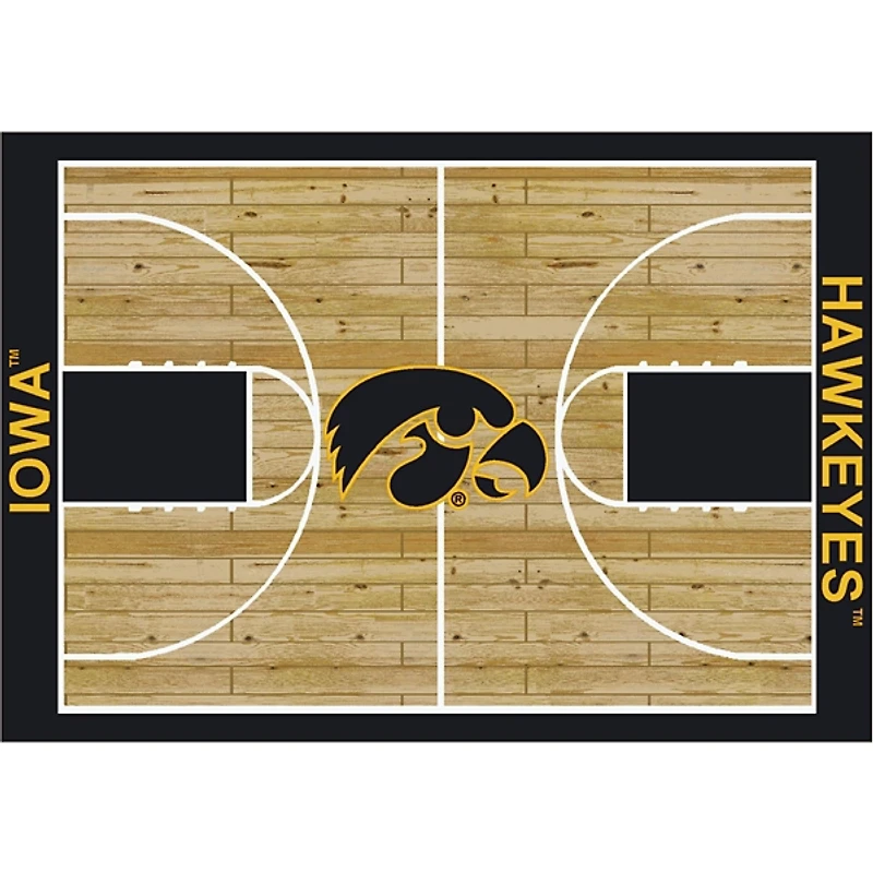 University of Iowa Courtside Area Rug, 4x6