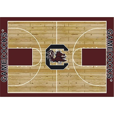 University of South Carolina Courtside Rug, 4x6