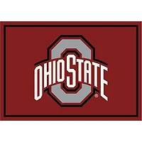 Ohio State University Area Rug, 4x6