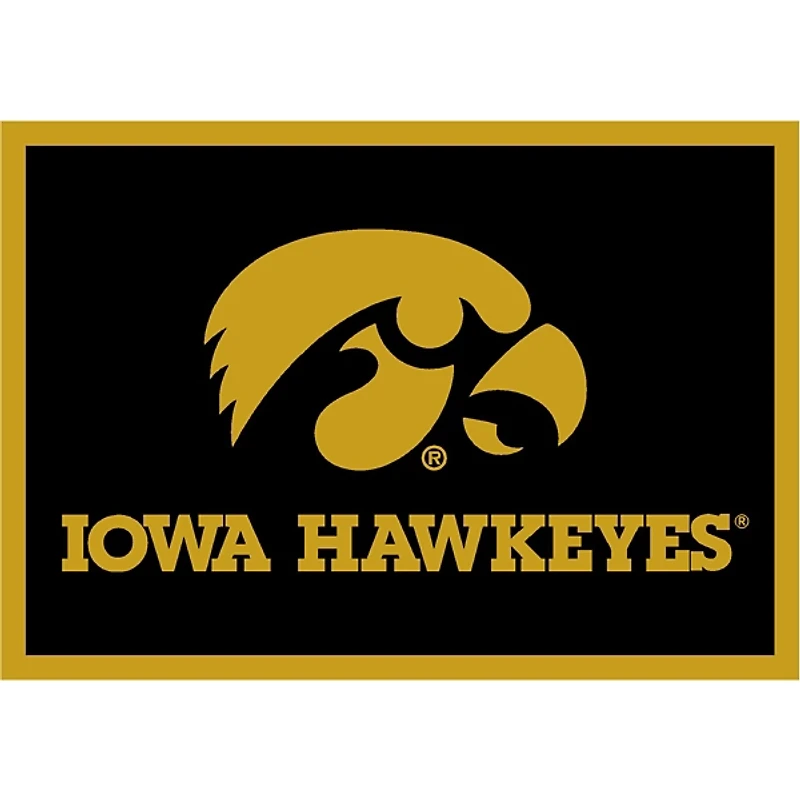 University of Iowa Area Rug, 4x6