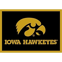 University of Iowa Area Rug, 4x6