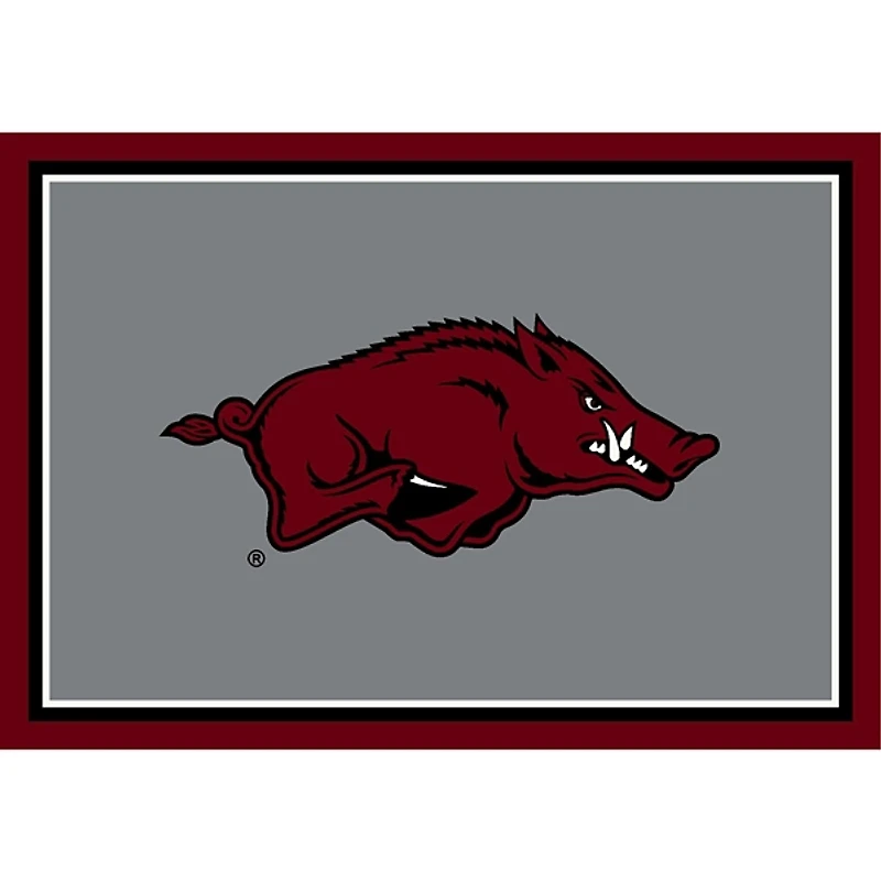University of Arkansas Area Rug, 4x6