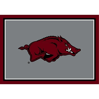 University of Arkansas Area Rug, 4x6