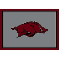 University of Arkansas Area Rug, 4x6