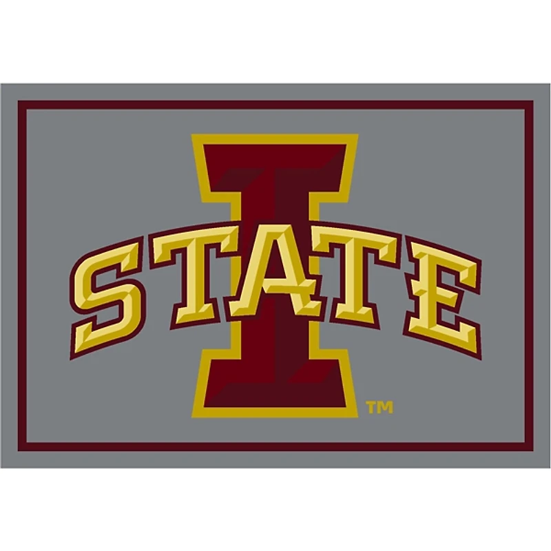 Iowa State University Area Rug, 4x6