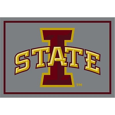 Iowa State University Area Rug, 4x6