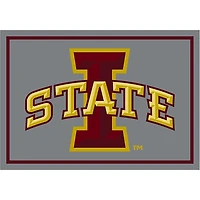 Iowa State University Area Rug, 4x6