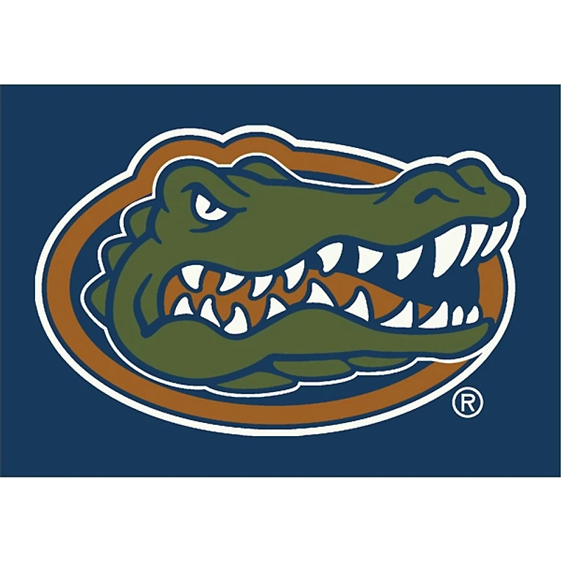 University of Florida Area Rug, 4x6