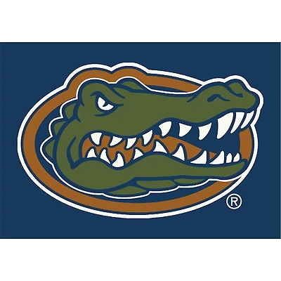 University of Florida Area Rug, 4x6