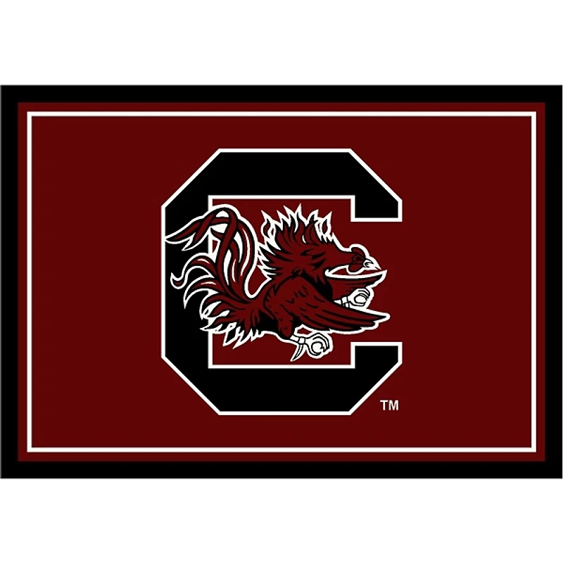 University of South Carolina Area Rug, 4x6