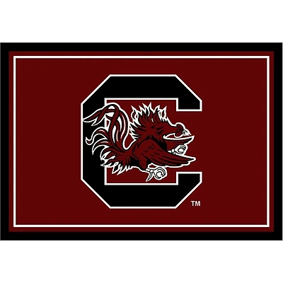 University of South Carolina Area Rug, 4x6