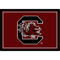 University of South Carolina Area Rug, 4x6