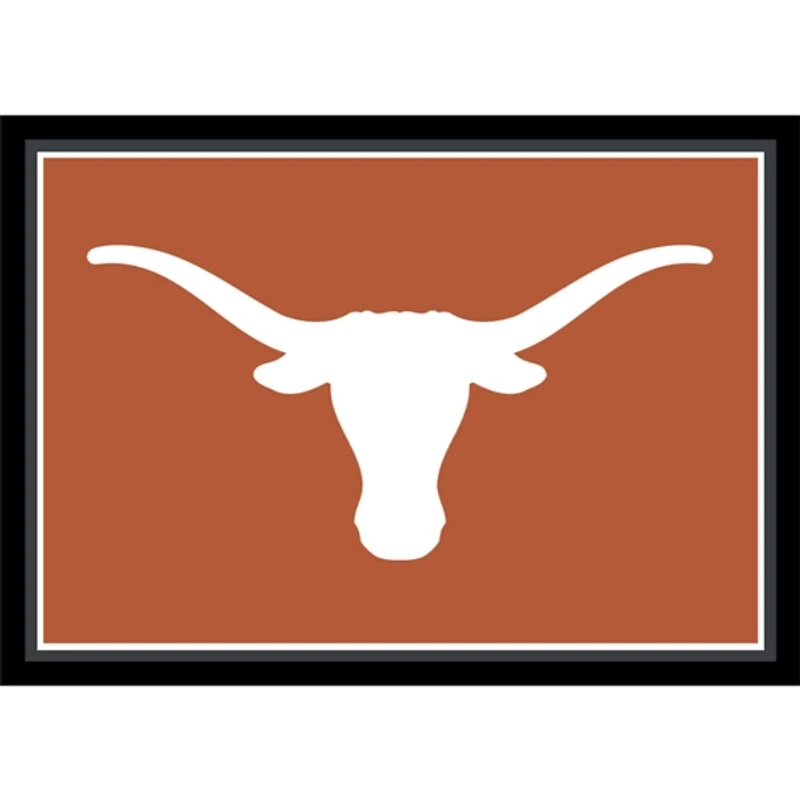 University of Texas Area Rug, 4x6