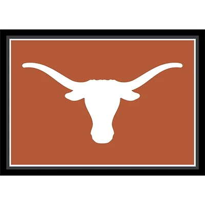 University of Texas Area Rug, 4x6