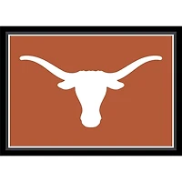 University of Texas Area Rug, 4x6