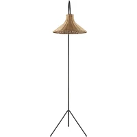 Black Metal Jeri Floor Lamp with Rattan Shade