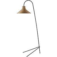 Black Metal Jeri Floor Lamp with Rattan Shade