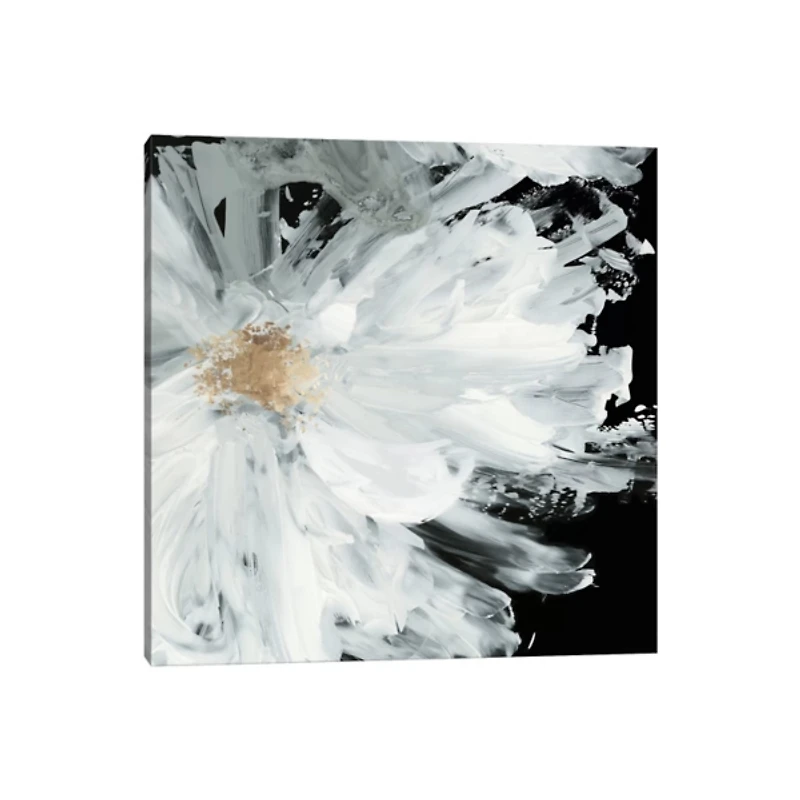 Black Wispy Peony Canvas Art Print