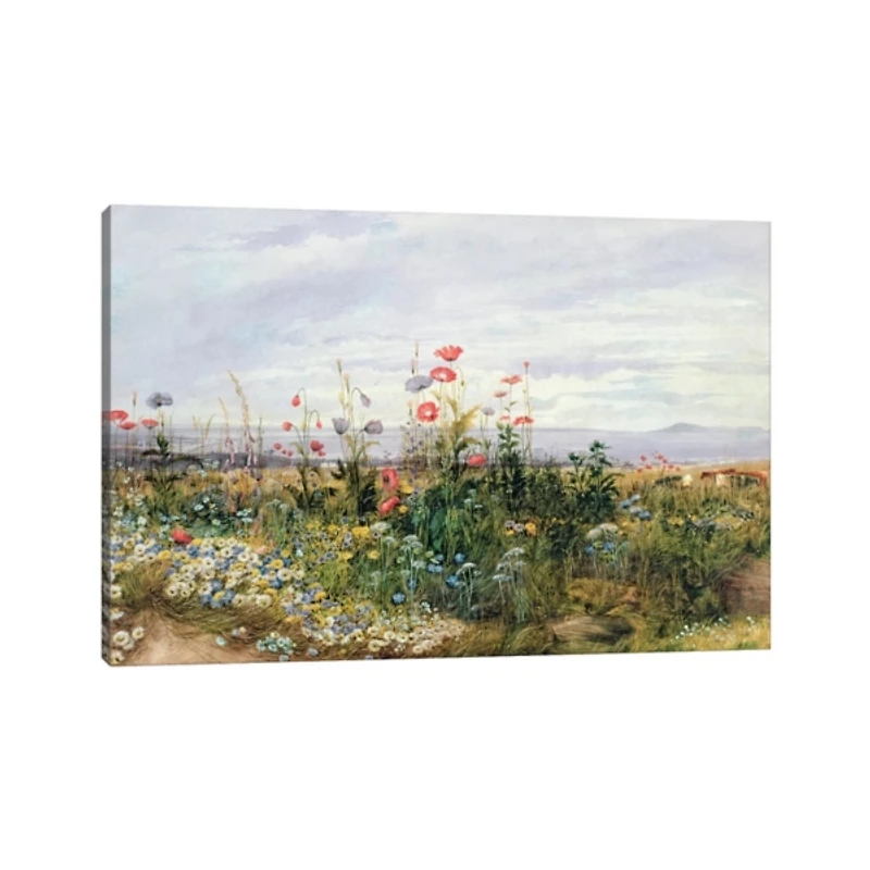 Wildflower With a View Canvas Art Print
