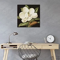 Magnolia Grandiflora Canvas Art Print