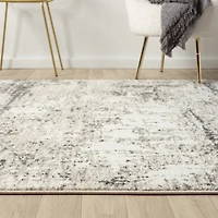 Beige Gray Indoor Area Rug, 7x9